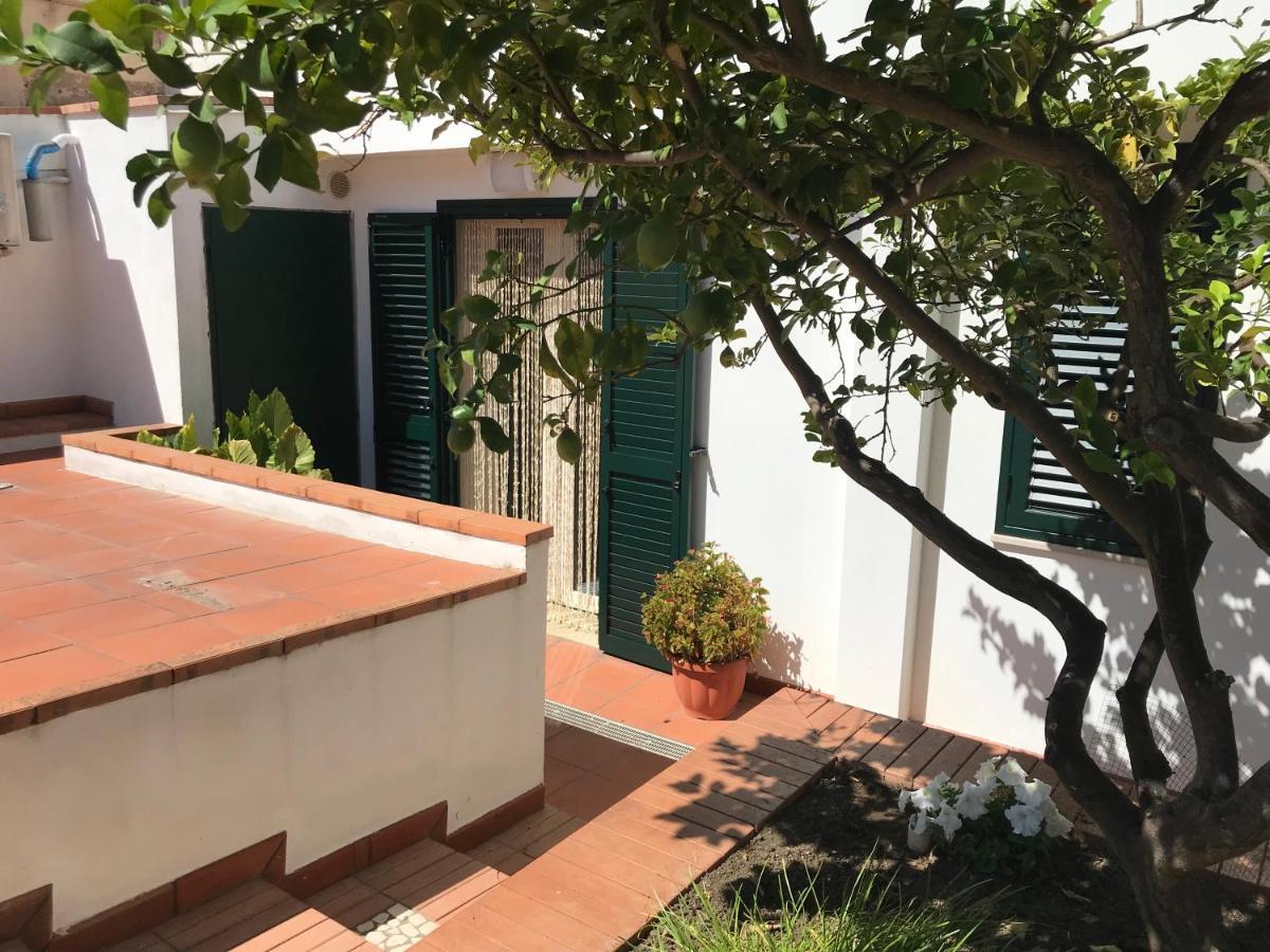 Casa Dorotea Διαμέρισμα Nuova Gibellina Εξωτερικό φωτογραφία